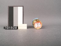 供杯藏品圖，第2張