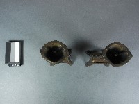 燭台藏品圖，第2張