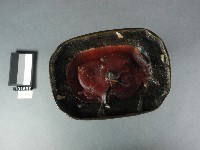燭台藏品圖，第2張