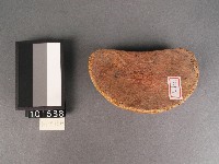 筶藏品圖，第1張