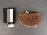 筶藏品圖，第1張