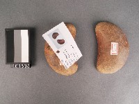 筶藏品圖，第1張