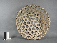 秧苗籃藏品圖，第2張