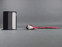 衣衫藏品圖，第2張