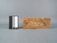 木製糖龜五片合印模藏品圖，第2張