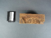 木製糖龜五片合印模藏品圖，第1張