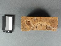 木製糖龜五片合印模藏品圖，第1張