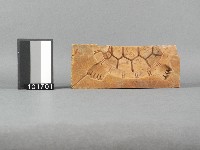 木製糖龜五片合印模藏品圖，第2張