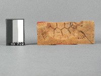 木製糖龜五片合印模藏品圖，第2張