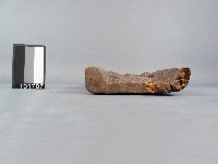 木製糖鳳糖魚三片合印模藏品圖，第2張