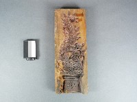 木製糖鳳糖魚三片合印模藏品圖，第1張
