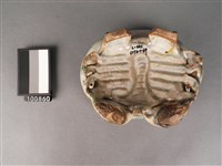 綠釉蟹形水仙盤藏品圖，第6張