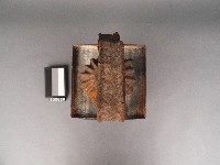 中元燈藏品圖，第2張