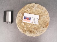 石製桌腳墊藏品圖，第3張