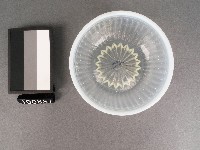 冰杯藏品圖，第2張