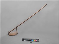 蟲梳藏品圖，第1張