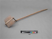 蟲梳藏品圖，第2張