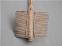 蟲梳藏品圖，第4張