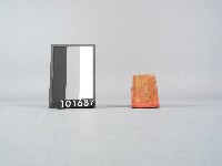 金紙印藏品圖，第2張