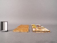 [電網]故事書藏品圖，第2張