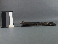 魚簍藏品圖，第2張