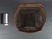 額頭籐籃藏品圖，第2張