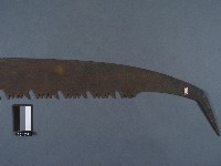 五孔鋸藏品圖，第2張