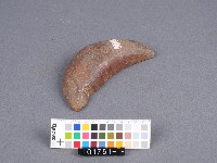 竹杯筊(左杯筊)藏品圖，第1張