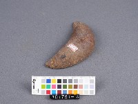 竹杯筊(左杯筊)藏品圖，第2張