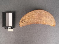 竹杯筊(左杯筊)藏品圖，第4張