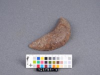 竹杯筊(右杯筊)藏品圖，第2張