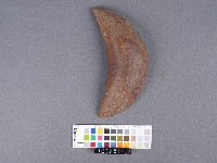 竹杯筊(右杯筊)藏品圖，第3張