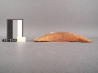 竹杯筊(右杯筊)藏品圖，第4張