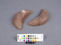 竹杯筊藏品圖，第2張