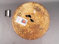 通鼓藏品圖，第3張