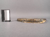 鑼藏品圖，第2張