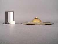 鈸藏品圖，第2張