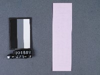 五結鎮安廟籤詩藏品圖，第2張