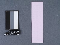 五結鎮安廟籤詩藏品圖，第2張