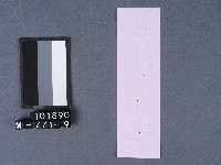 五結鎮安廟籤詩藏品圖，第2張