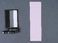 五結鎮安廟籤詩藏品圖，第2張