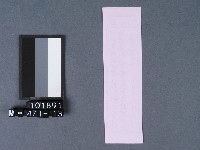 五結鎮安廟籤詩藏品圖，第2張