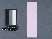 五結鎮安廟籤詩藏品圖，第2張