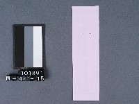 五結鎮安廟籤詩藏品圖，第2張