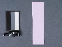 五結鎮安廟籤詩藏品圖，第2張