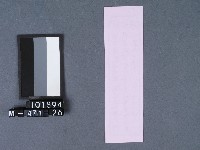 五結鎮安廟籤詩藏品圖，第2張