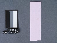 五結鎮安廟籤詩藏品圖，第2張