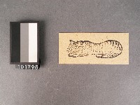 白虎紙錢藏品圖，第1張