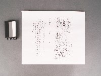 《文帝真經寶懺》衛駕入蜀藏品圖，第1張