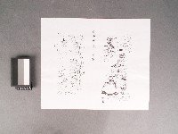 《文帝真經寶懺》和合二仙•文昌帝君像藏品圖，第1張